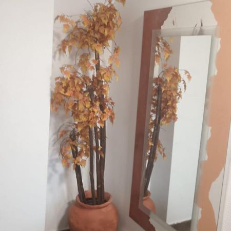 Apartamento Gloria Patricia Alcantarilla  Extérieur photo